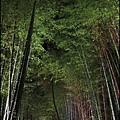 嵐山-竹林-10.JPG