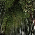 嵐山-竹林-13.JPG