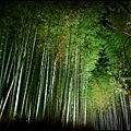 嵐山-竹林-26.jpg
