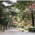 京都御苑-2.JPG