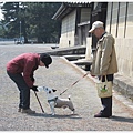 京都御苑-狗狗喝水.JPG