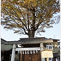 川越-熊野神社-6.JPG