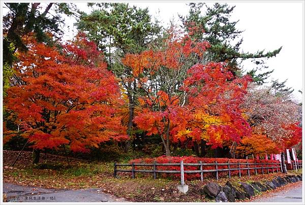 河口湖-大池公園-24.JPG