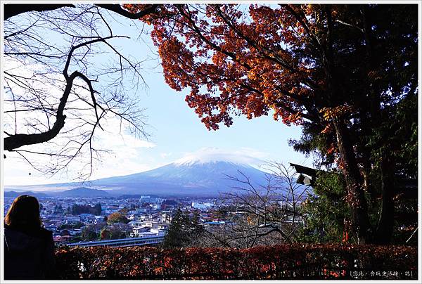 新倉山淺間公園-13-富士山.JPG