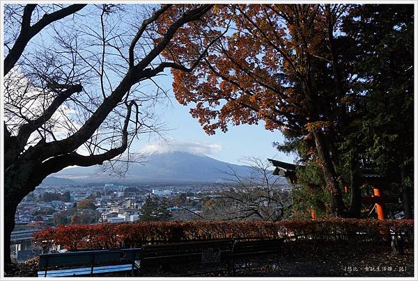 新倉山淺間公園-17-富士山.JPG