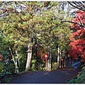 新倉山淺間公園-18.JPG