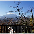 新倉山淺間公園-36-富士山.JPG