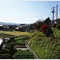 新倉山淺間公園-109-新倉富士淺間神社.JPG