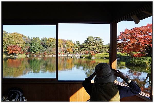 昭和紀念公園-41-日本庭園-清池軒.JPG