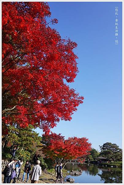 昭和紀念公園-68-日本庭園.JPG