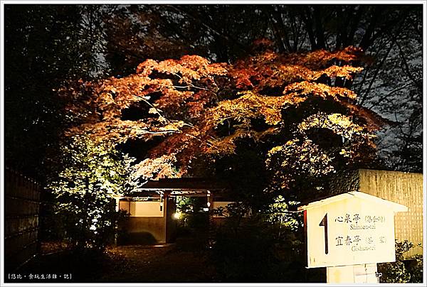 六義園-夜楓-1.JPG 六義園-夜楓-1.JPG