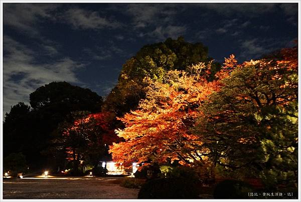 六義園-夜楓-6.JPG 六義園-夜楓-6.JPG