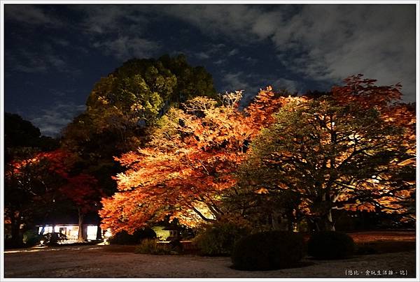 六義園-夜楓-7.JPG 六義園-夜楓-7.JPG