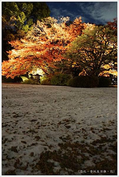 六義園-夜楓-9.JPG 六義園-夜楓-9.JPG