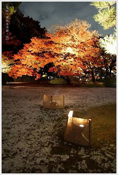 六義園-夜楓-12.JPG 六義園-夜楓-12.JPG