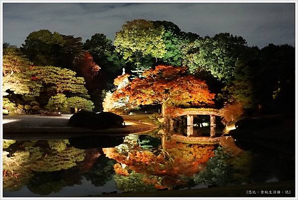 六義園-夜楓-14.JPG 六義園-夜楓-14.JPG