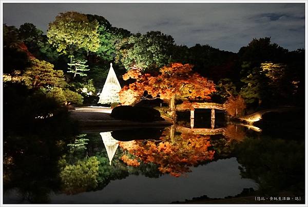 六義園-夜楓-15.JPG 六義園-夜楓-15.JPG