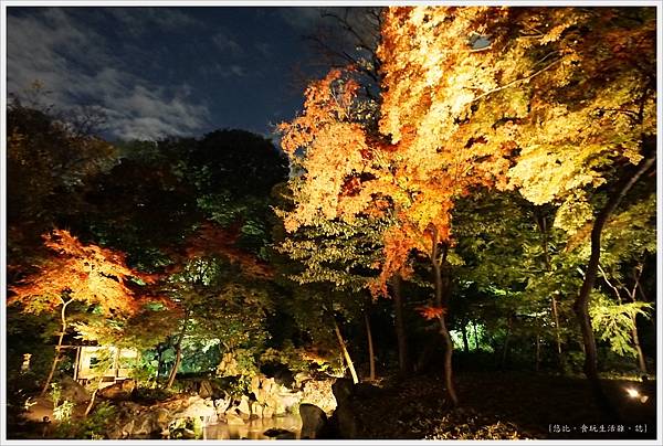 六義園-夜楓-25.JPG 六義園-夜楓-25.JPG