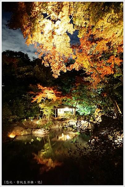 六義園-夜楓-27.JPG 六義園-夜楓-27.JPG