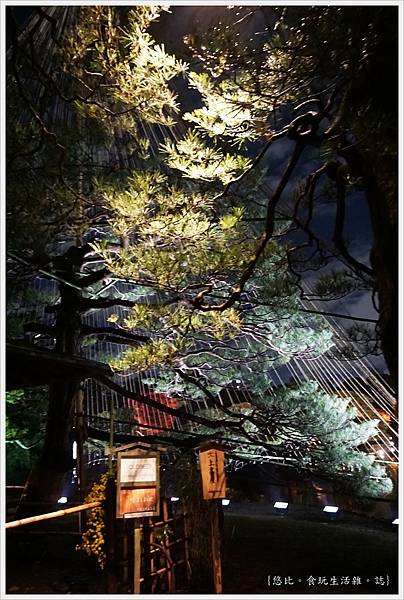 六義園-夜楓-29.JPG 六義園-夜楓-29.JPG