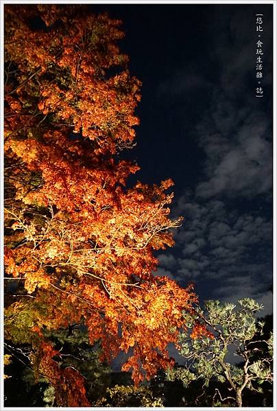 六義園-夜楓-31.JPG 六義園-夜楓-31.JPG