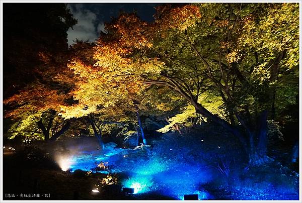 六義園-夜楓-33.JPG 六義園-夜楓-33.JPG