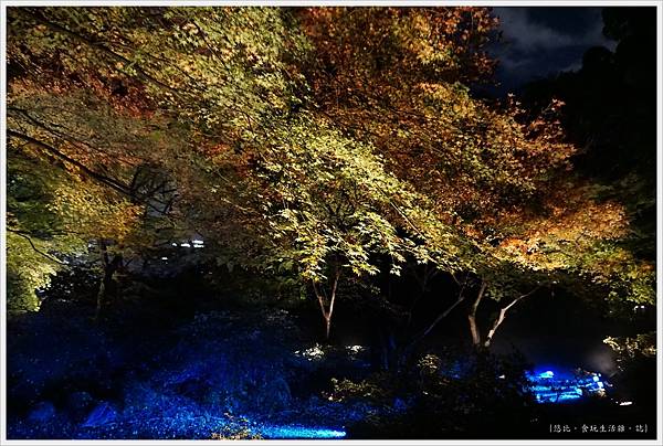 六義園-夜楓-34.JPG 六義園-夜楓-34.JPG