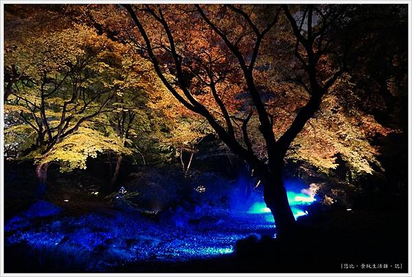 六義園-夜楓-35.JPG 六義園-夜楓-35.JPG