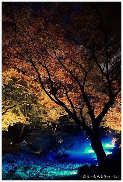 六義園-夜楓-36.JPG 六義園-夜楓-36.JPG