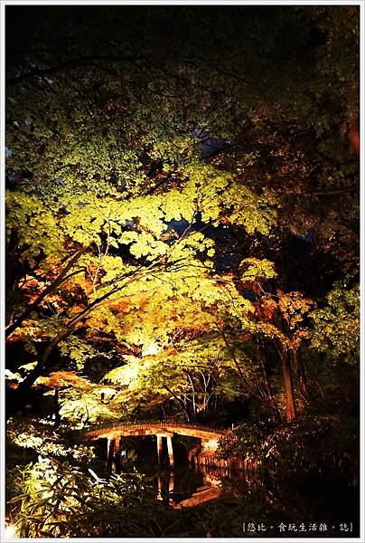 六義園-夜楓-37.JPG 六義園-夜楓-37.JPG