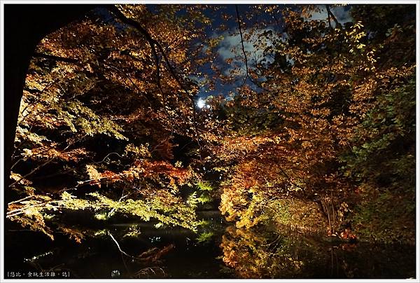 六義園-夜楓-42.JPG 六義園-夜楓-42.JPG