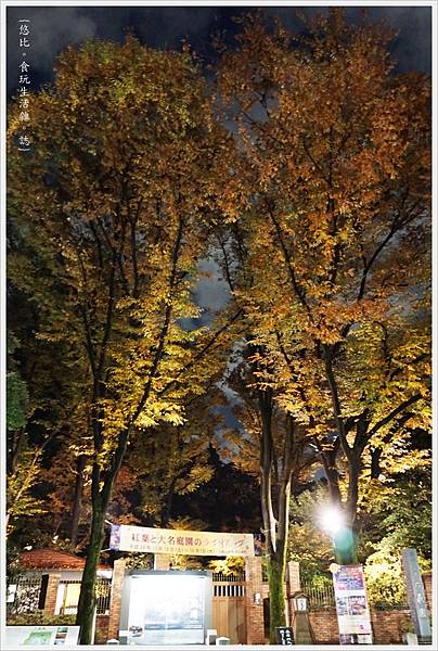 六義園-夜楓-46.JPG 六義園-夜楓-46.JPG