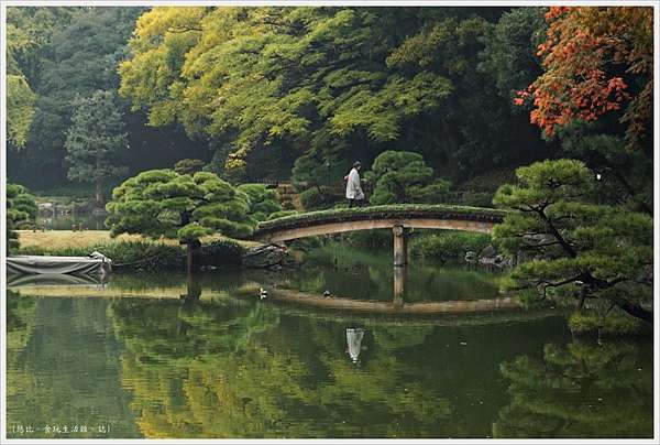 東京 秋冬好好玩 賞楓銀杏燈祭 含18點燈時間情報 悠比 食 玩 痞客邦