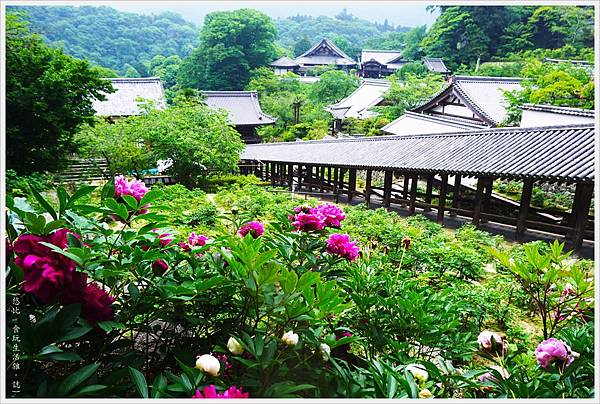 奈良長谷寺-50.JPG 奈良長谷寺-50.JPG
