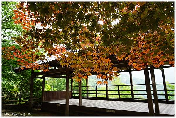 奈良長谷寺-95.JPG 奈良長谷寺-95.JPG