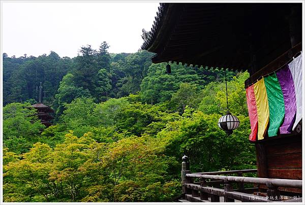 奈良長谷寺-115-本堂.JPG 奈良長谷寺-115-本堂.JPG