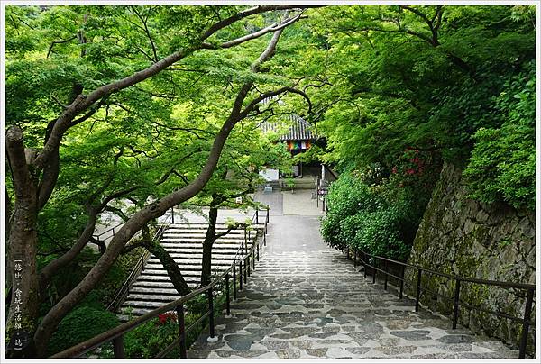 奈良長谷寺-124-本堂.JPG 奈良長谷寺-124-本堂.JPG