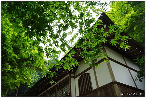 奈良長谷寺-128-楓葉.JPG 奈良長谷寺-128-楓葉.JPG