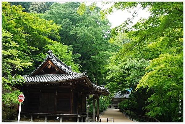 奈良長谷寺-135.JPG 奈良長谷寺-135.JPG