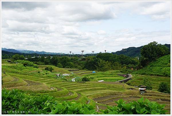 富田林-14-千早赤阪村梯田.JPG