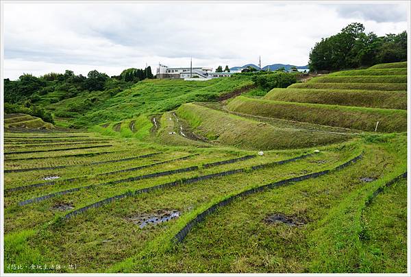 富田林-33-千早赤阪村梯田.JPG