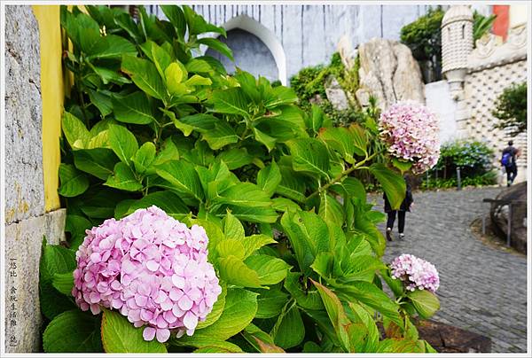 辛特拉-136-佩納宮Palacio Nacional de Pena.JPG