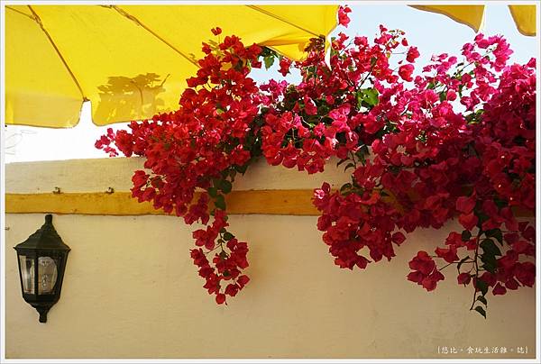 歐比多斯Obidos-65.JPG 歐比多斯Obidos-65.JPG