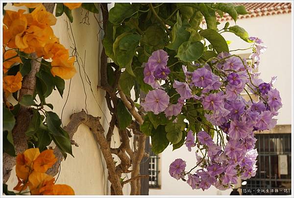 歐比多斯Obidos-89.JPG 歐比多斯Obidos-89.JPG