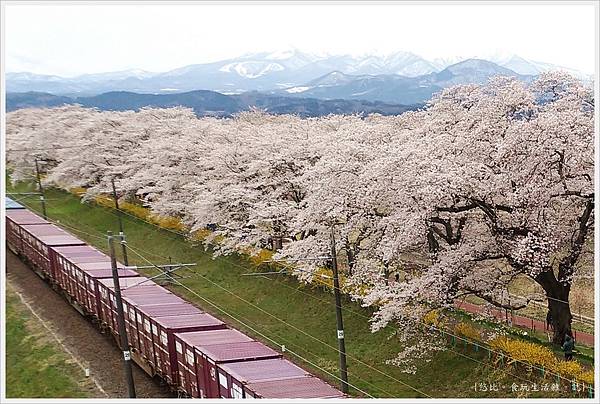 船岡城跡公園-159.jpg