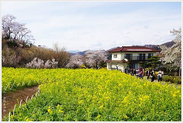 花見山-15.JPG