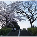 榴岡公園-39.JPG