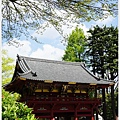 根津神社杜鵑-116.JPG