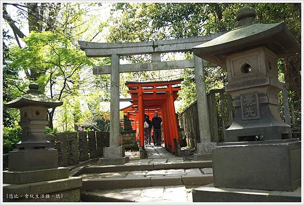 根津神社杜鵑-130.JPG