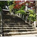 根津神社杜鵑-131.JPG